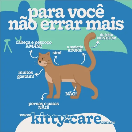 Post da KittyCare no Instagram
